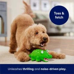 Frisco Alligator Latex Squeaky Dog Toy -Optimal Pet Shop 174772 PT3. AC SS1800 V1686579212