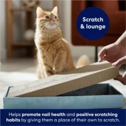 Frisco Double-Wide Cat Scratcher Toy Refill With Catnip, 2 Count -Optimal Pet Shop 174800 PT3. AC SS1800 V1678723850