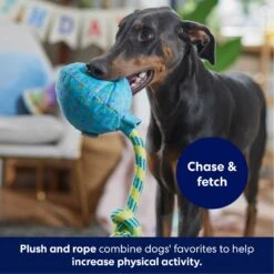 Frisco Birthday Balloon Plush With Rope Squeaky Dog Toy -Optimal Pet Shop 177807 PT3. AC SS1800 V1695241973