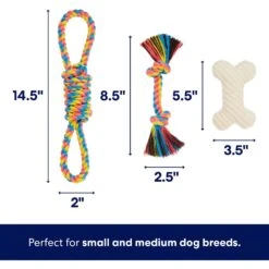 Frisco Jungle Pals Plush & Rope Variety Pack Dog Toy -Optimal Pet Shop 177819 PT2. AC SS1800 V1686579629