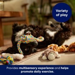 Frisco Jungle Pals Plush & Rope Variety Pack Dog Toy -Optimal Pet Shop 177819 PT5. AC SS1800 V1691784249
