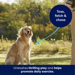 Frisco Ball Launcher & Fetch Squeaky Tennis Ball Dog Toy -Optimal Pet Shop 178477 PT3. AC SS1800 V1695241970