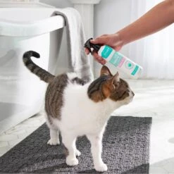 Frisco Aloe Hydrating Dog & Cat Spray, Sweet Nectar Scent -Optimal Pet Shop 192084 PT4. AC SS1800 V1589487682