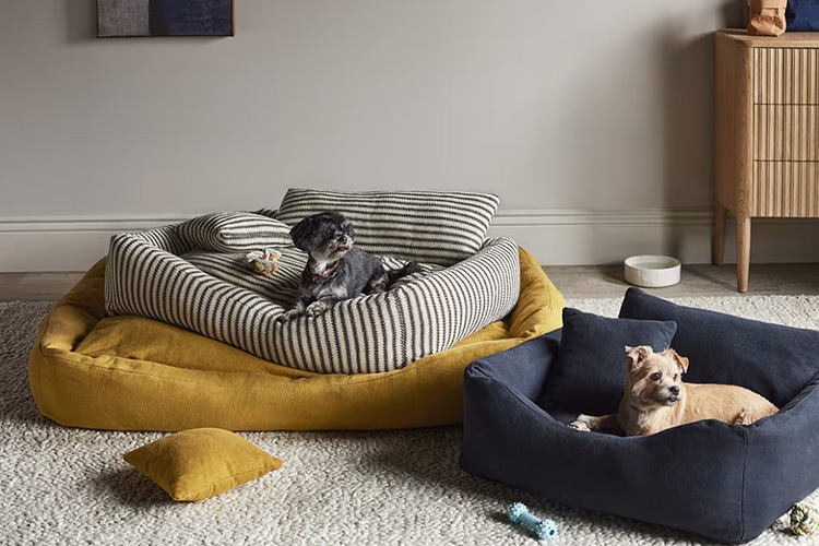 Optimal Pet Shop -Optimal Pet Shop 2