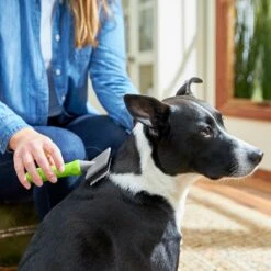 Frisco Soft Slicker Dog Brush, One Size 8 Frisco Soft Slicker Dog Brush, One Size -Optimal Pet Shop 206869 PT4. AC SS1800 V1680186388