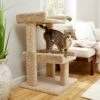 Frisco 32-in Real Carpet Wooden Cat Tree With Toy 1 Frisco 32-in Real Carpet Wooden Cat Tree With Toy -Optimal Pet Shop 208920 MAIN. AC SS1800 V1602682003