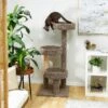 Frisco 50-in Real Carpet Wooden Cat Tree -Optimal Pet Shop 208930 MAIN. AC SS1800 V1602682020