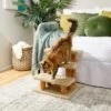 Frisco 20-in 3-Step Real Carpet Wooden Cat Steps