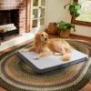 Frisco Cooling Orthopedic Pillow Dog Bed W/Removable Cover 1 Frisco Cooling Orthopedic Pillow Dog Bed W/Removable Cover -Optimal Pet Shop 210223 MAIN. AC SS1800 V1590067616