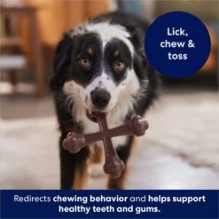 Frisco Bacon Flavor Tough Nylon Dog Chew Toy -Optimal Pet Shop 213430 PT5. AC SS1800 V1691783968