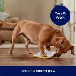 Frisco Frosted Pastry Stuffing-Free Flat Plush Squeaky Dog Toy -Optimal Pet Shop 213812 PT5. AC SS1800 V1686579088