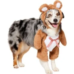 Frisco Front Walking Teddy Bear Dog & Cat Costume 13 Frisco Front Walking Teddy Bear Dog & Cat Costume -Optimal Pet Shop 215507 PT3. AC SS1800 V1624402415