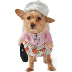 Frisco Front Walking Granny Dog & Cat Costume -Optimal Pet Shop 215577 PT4. AC SS1800 V1625077372