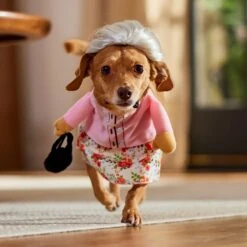 Frisco Front Walking Granny Dog & Cat Costume -Optimal Pet Shop 215577 PT8. AC SS1800 V1689621333