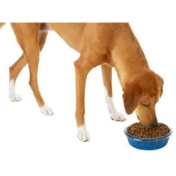 Frisco Chevron Design Glass Bowl With Silicone Sleeve 13 Frisco Chevron Design Glass Bowl With Silicone Sleeve -Optimal Pet Shop 216049 PT6. AC SS1800 V1605654757