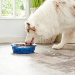 Frisco Chevron Design Glass Bowl With Silicone Sleeve 14 Frisco Chevron Design Glass Bowl With Silicone Sleeve -Optimal Pet Shop 216049 PT7. AC SS1800 V1605664319