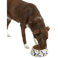 Frisco Colorful Geometric Melamine Bowl 14 Frisco Colorful Geometric Melamine Bowl -Optimal Pet Shop 216054 PT6. AC SS1800 V1605658026
