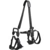 Frisco Front & Rear Lift Handicapped Support Dog Harness 1 Frisco Front & Rear Lift Handicapped Support Dog Harness -Optimal Pet Shop 220372 MAIN. AC SS1800 V1596501363
