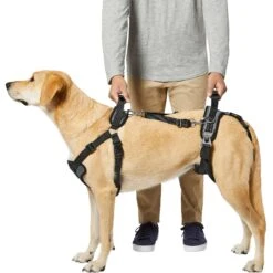 Frisco Front & Rear Lift Handicapped Support Dog Harness -Optimal Pet Shop 220372 PT5. AC SS1800 V1605749597