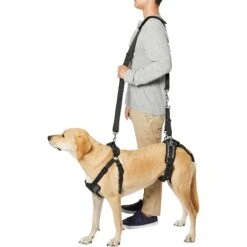 Frisco Front & Rear Lift Handicapped Support Dog Harness -Optimal Pet Shop 220372 PT6. AC SS1800 V1605758261