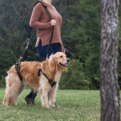 Frisco Front & Rear Lift Handicapped Support Dog Harness -Optimal Pet Shop 220372 PT7. AC SS1800 V1605738439