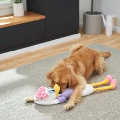 Disney Daisy Duck Wagazoo Plush Squeaky Dog Toy, Extra Long -Optimal Pet Shop 220651 PT2. AC SS1800 V1612366662
