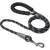 Frisco Rope Dog Leash With Padded Handle -Optimal Pet Shop 221218 MAIN. AC SS1800 V1701796765