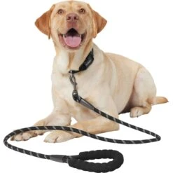 Frisco Rope Dog Leash With Padded Handle -Optimal Pet Shop 221218 PT3. AC SS1800 V1701796765