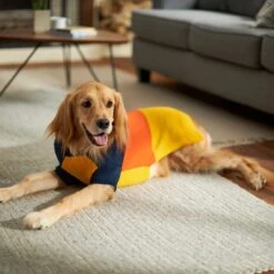 Frisco Colorblock Dog & Cat Turtleneck Sweater With Sleeves -Optimal Pet Shop 223819 PT7. AC SS1800 V1599922008
