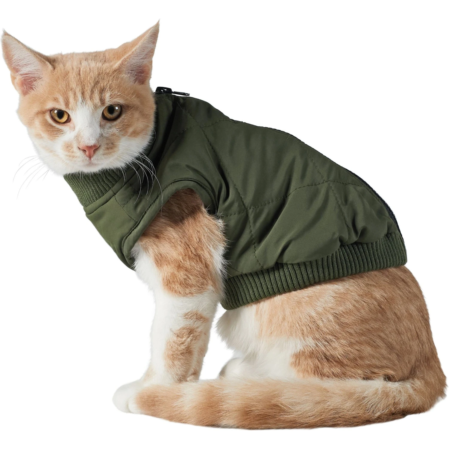 Frisco Lightweight Insulated Bomber Dog & Cat Jacket 5 Frisco Lightweight Insulated Bomber Dog & Cat Jacket - Image 3