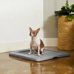 Frisco Training Pad Holder -Optimal Pet Shop 227474 PT6. AC SS1800 V1604701643