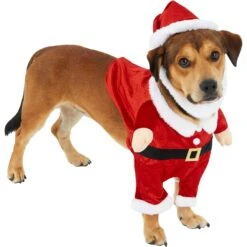Frisco Front Walking Santa Dog & Cat Costume, 1 Count -Optimal Pet Shop 228785 PT3. AC SS1800 V1631300866