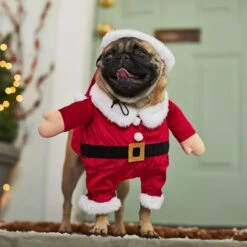 Frisco Front Walking Santa Dog & Cat Costume, 1 Count -Optimal Pet Shop 228785 PT7. AC SS1800 V1601560869