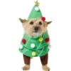Frisco Front Walking Christmas Tree Dog & Cat Costume 1 Frisco Front Walking Christmas Tree Dog & Cat Costume -Optimal Pet Shop 229164 MAIN. AC SS1800 V1631300529