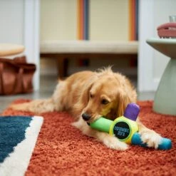 Frisco Retro Whack It! Ballistic Nylon Plush Squeaky Dog Toy -Optimal Pet Shop 230302 PT3. AC SS1800 V1601947283