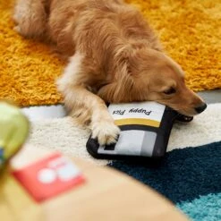 Frisco Retro Floppy Disc Ballistic Nylon Plush Squeaky Dog Toy 7 Frisco Retro Floppy Disc Ballistic Nylon Plush Squeaky Dog Toy -Optimal Pet Shop 230304 PT3. AC SS1800 V1602639753