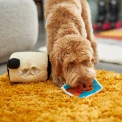 Frisco Retro Camera 2-in-1 Rip For Surprise Plush Squeaky Dog Toy 7 Frisco Retro Camera 2-in-1 Rip For Surprise Plush Squeaky Dog Toy -Optimal Pet Shop 230306 PT3. AC SS1800 V1602639779