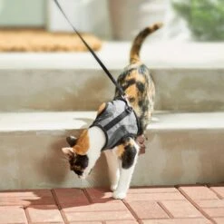 Frisco Wrap Cat Harness -Optimal Pet Shop 230691 PT5. AC SS1800 V1601096758