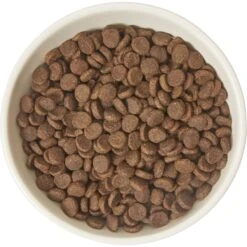 Frisco Double-Sided Ceramic Elevated Cat Bowl -Optimal Pet Shop 232081 PT3. AC SS1800 V1605145964