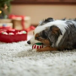 Frisco Holiday Wreath Fetch Squeaky Tennis Ball Dog Toy -Optimal Pet Shop 233189 PT3. AC SS1800 V1665759769