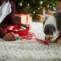 Frisco Holiday Wreath Fetch Squeaky Tennis Ball Dog Toy -Optimal Pet Shop 233189 PT5. AC SS1800 V1601919657