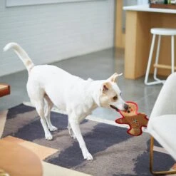 Frisco Holiday Gingerbread Man Flat Plush Squeaky Dog Toy -Optimal Pet Shop 233241 PT2. AC SS1800 V1601311903