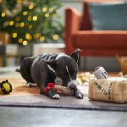 Frisco Holiday Fragile Box Hide & Seek Puzzle Plush Squeaky Dog Toy 13 Frisco Holiday Fragile Box Hide & Seek Puzzle Plush Squeaky Dog Toy -Optimal Pet Shop 233274 PT4. AC SS1800 V1665759767