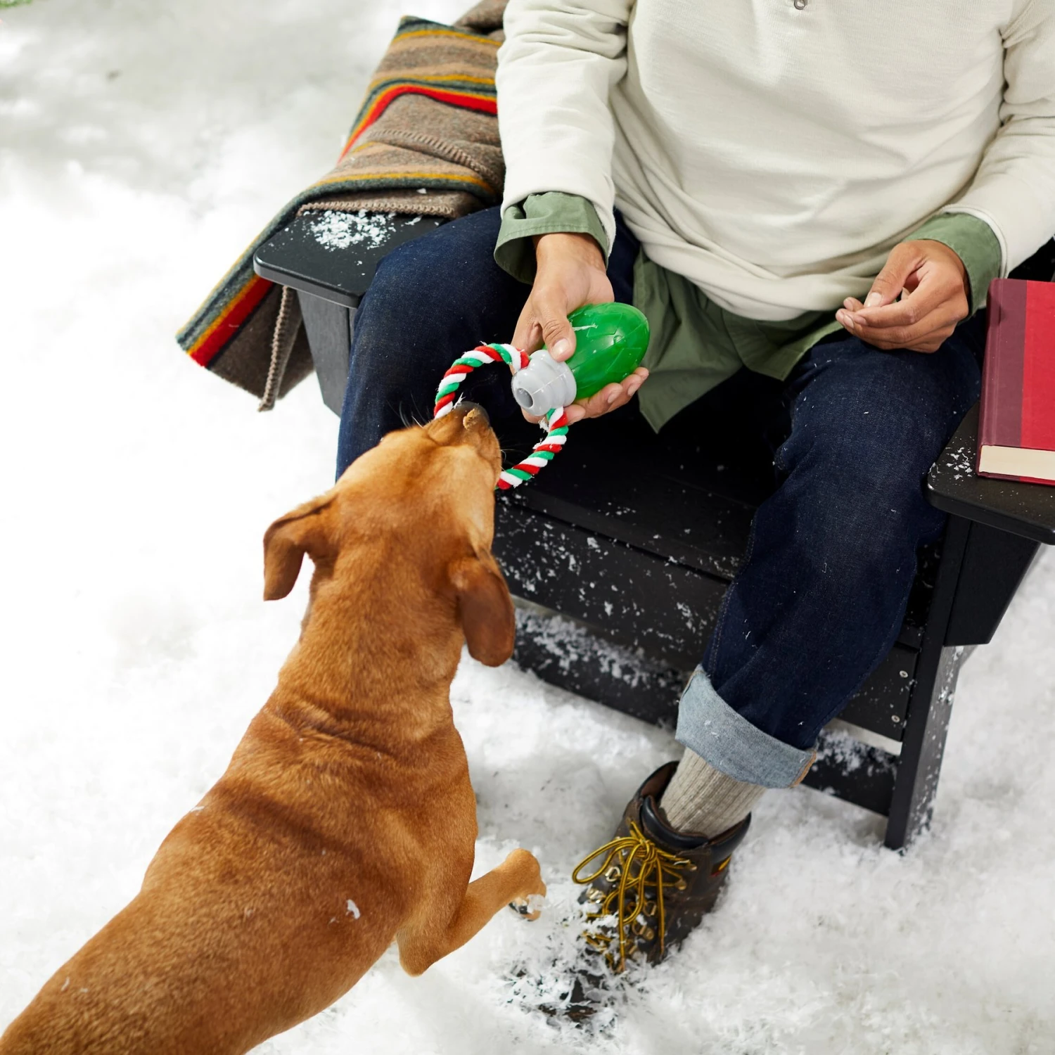 Frisco Holiday Christmas Light Rope With TPR Squeaky Dog Toy 5 Frisco Holiday Christmas Light Rope With TPR Squeaky Dog Toy - Image 3