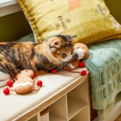 Frisco Holiday Gingerbread Pals Plush Kicker Cat Toy With Catnip, 2 Count -Optimal Pet Shop 233303 PT2. AC SS1800 V1602172387