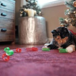 Frisco Holiday Springs Cat Toy, 10 Count 8 Frisco Holiday Springs Cat Toy, 10 Count -Optimal Pet Shop 233307 PT2. AC SS1800 V1602172363