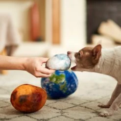 Frisco Earth, Mars, And Moon Plush Squeaky Dog Toy -Optimal Pet Shop 233587 PT3. AC SS1800 V1600973771