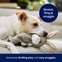 Frisco Bunny Bungee Plush Squeaky Dog Toy -Optimal Pet Shop 233612 PT5. AC SS1800 V1691783971