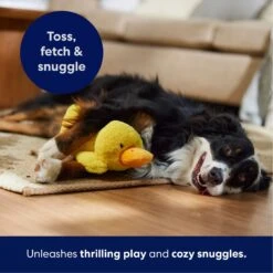 Frisco Duck Plush Squeaky Dog Toy 12 Frisco Duck Plush Squeaky Dog Toy -Optimal Pet Shop 233613 PT4. AC SS1800 V1695670688