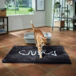 Frisco Microfiber Chenille Fish Bone Litter Mat 11 Frisco Microfiber Chenille Fish Bone Litter Mat -Optimal Pet Shop 236242 PT3. AC SS1800 V1676556249